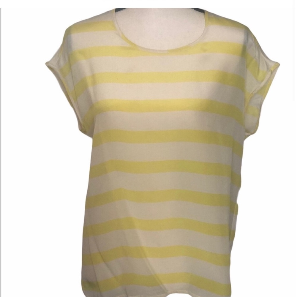 Broadway & Broome by Madewell silk striped short sleeve tee